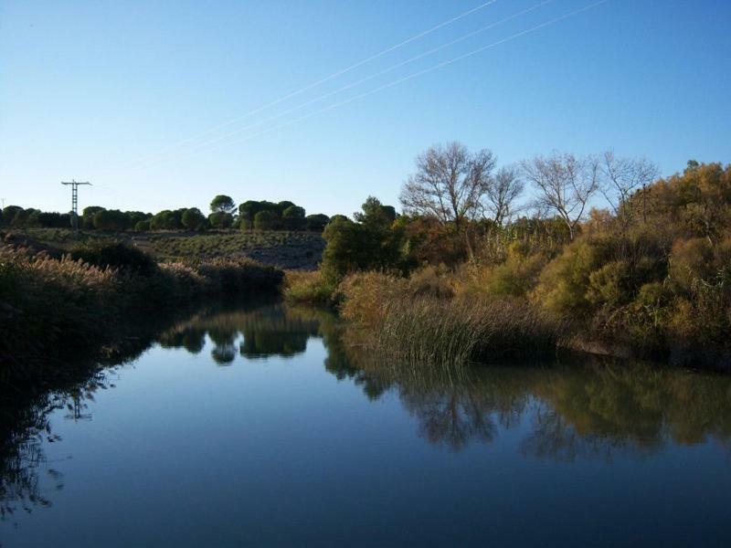 Casa Rural Parajes Del Jucar Casas de Benítez Exterior foto